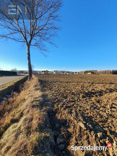 Grunt Dębowiec 3200m2