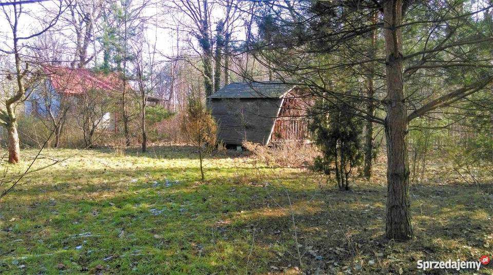 Działka ROD Okuniew