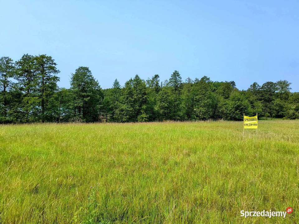 Działka z linią brzegową jeziora Wygryny w sprzedam