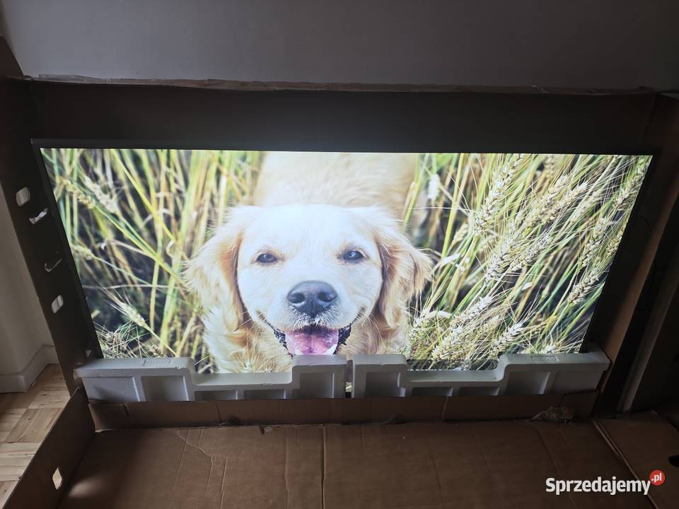 Telewizor LG 75UV341C 75 Świdnik