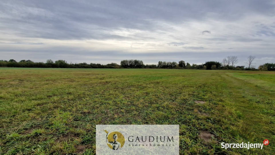 działki w Drewnicy Drewnica