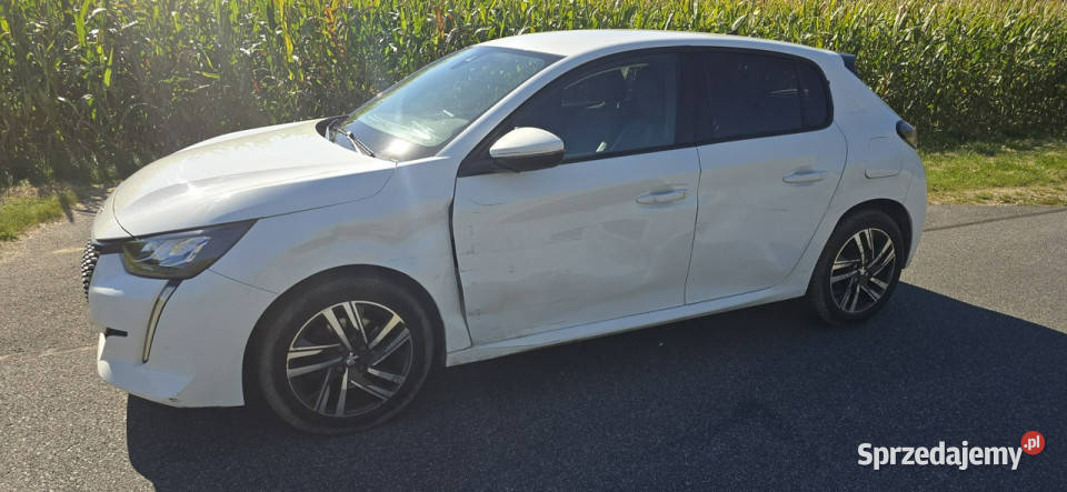 Peugeot 208 77000 II 2019 ABS Pleszew