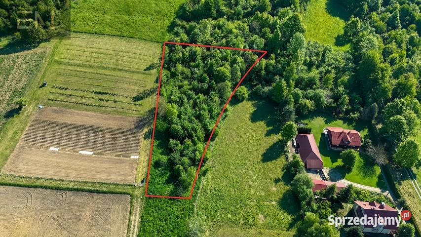 Działka Lubenia 2800m2 sprzedam
