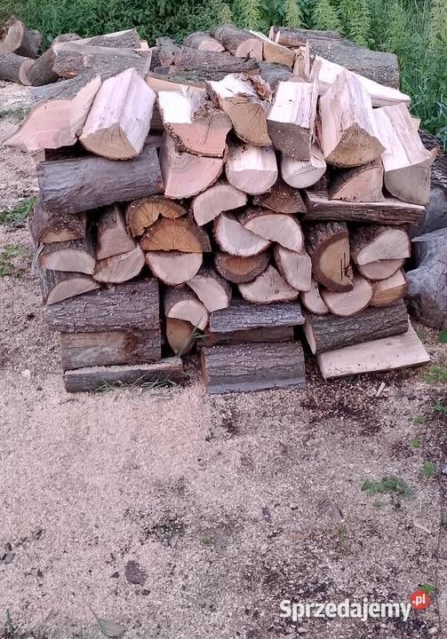 Jesion Dąb Pocięty na klocki 350 Połupany 400 1M sprzedam
