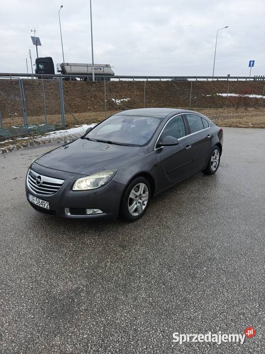 Opel Insignia Jędrzejów