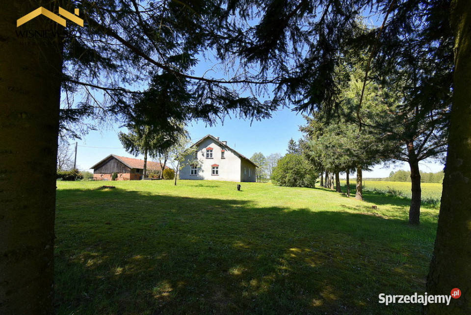 Siedlisko położone na wzgórzu niedaleko lasu 6618m2 Mingajny sprzedam