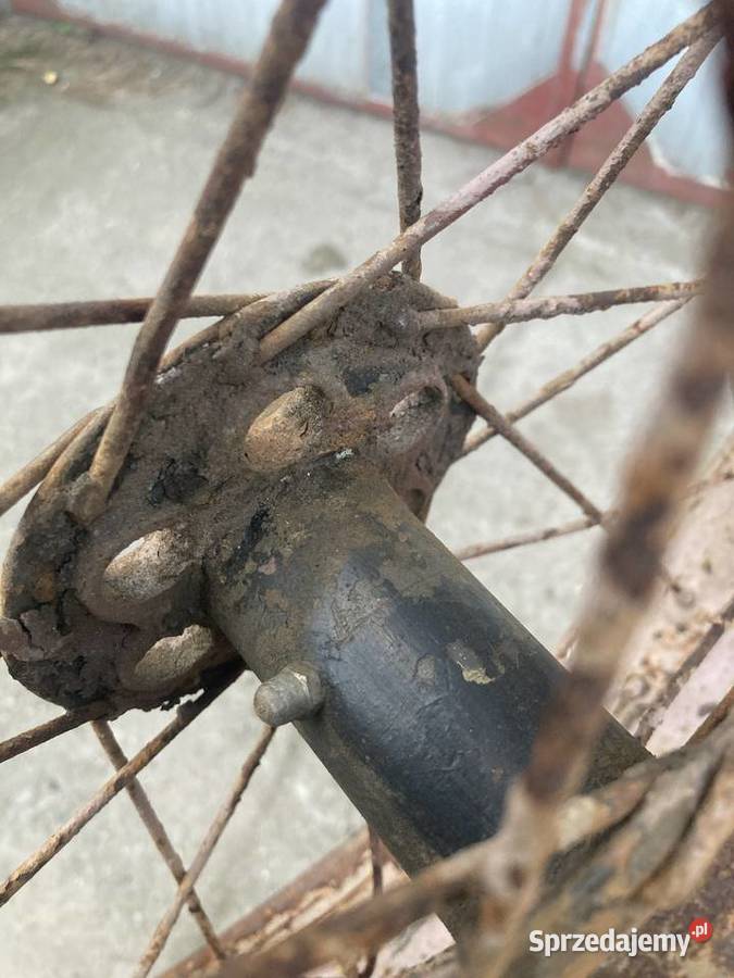 DKW SB koło tylne Mosina