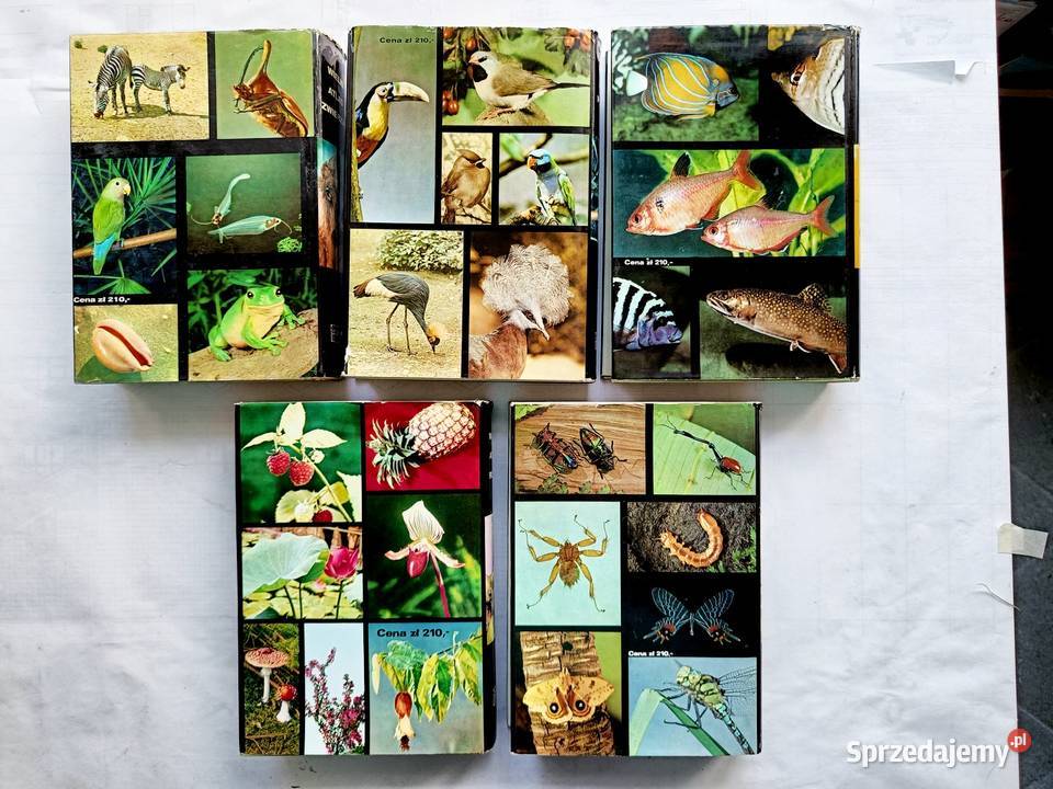 Wielki Atlas Zwierząt Ptaków Ryb Roślin i Owadów biologia, ekologia