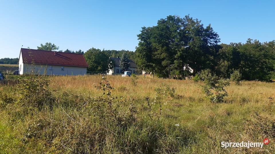 Działka budowlana 2900m2 park las Naroczyce 112m