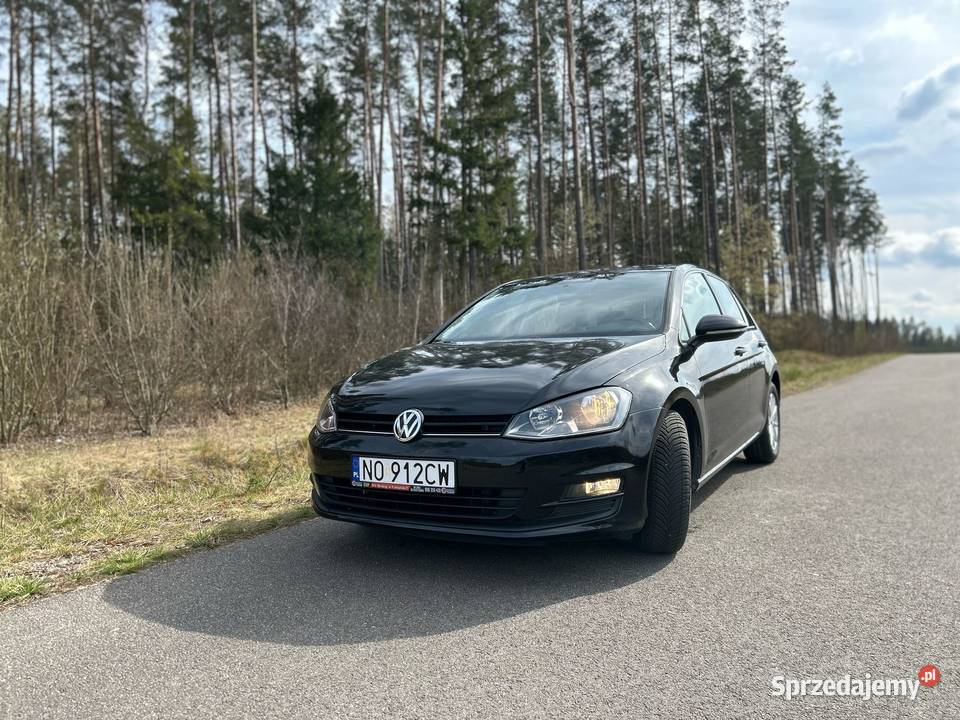 Volkswagen Golf VII 12 TSI BMT Trendline Olsztyn sprzedam
