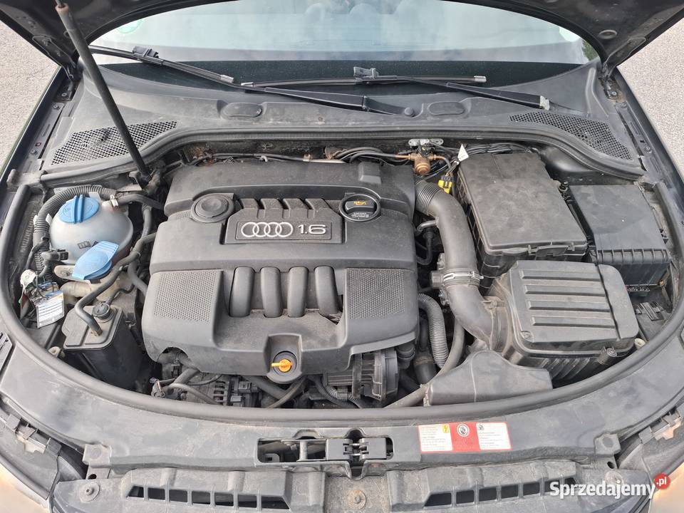 Audi A3 2003r 16 MPI benzyna LPG Ekonomiczne A3 Rzeszów sprzedam