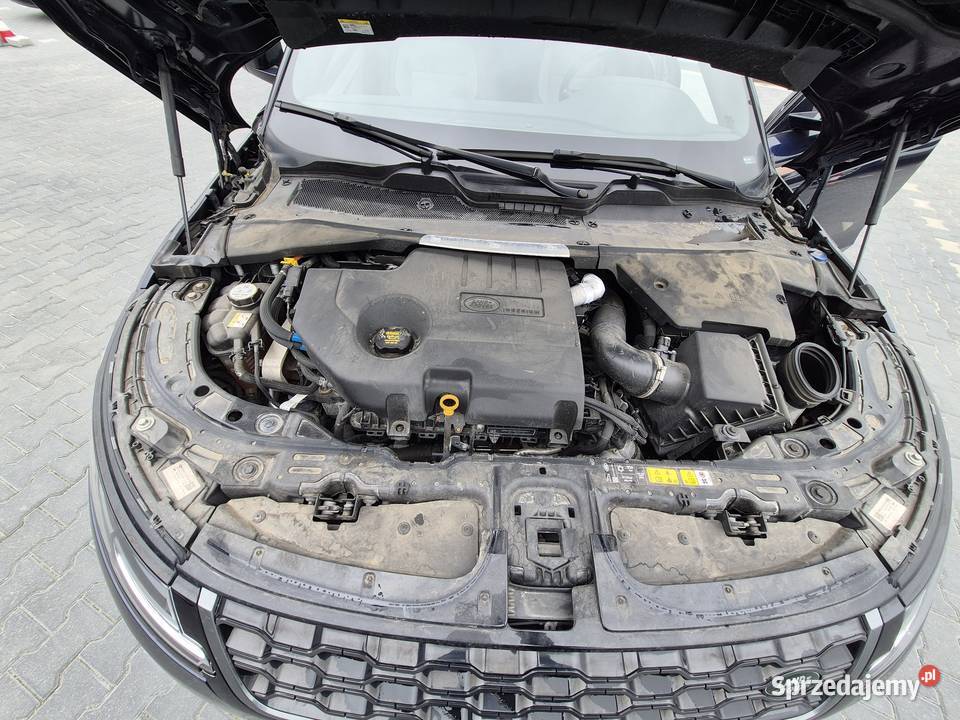 Syndyk sprzeda Range Rover Evoque 20 Diesel MHEV mazowieckie