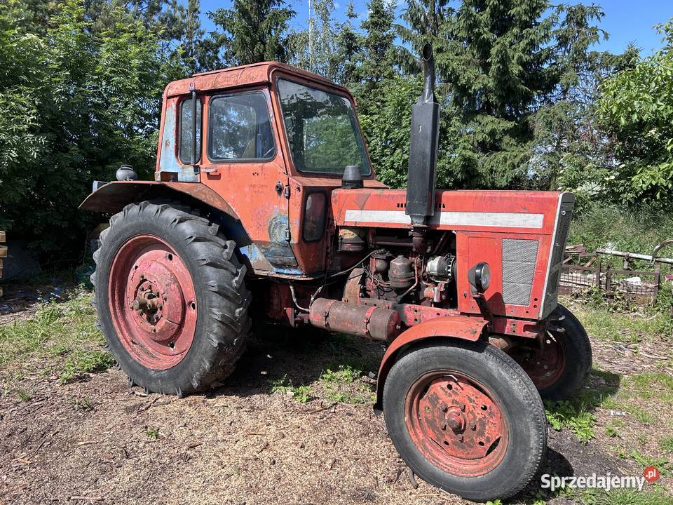 MTZ 50 MTZ Kowalewo Pomorskie