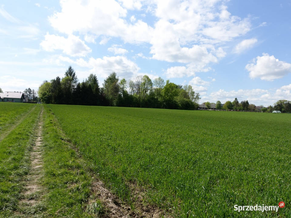 Skoczów Pruchna 115ha pod zabudowe jednorodzinną 11500m2