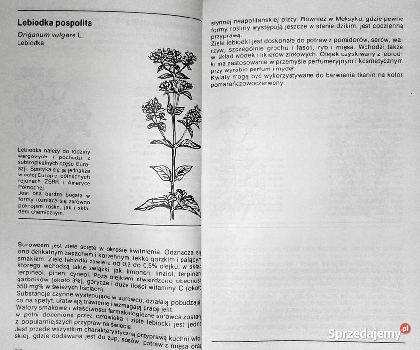 Ziołowe przyprawy kuchenne Zenon Węglarz sprzedam