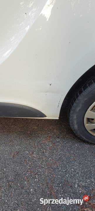 Nissan NV300 Trafic Vivaro 16 dCi 125 koni serwisowany w ASO Rzeszów