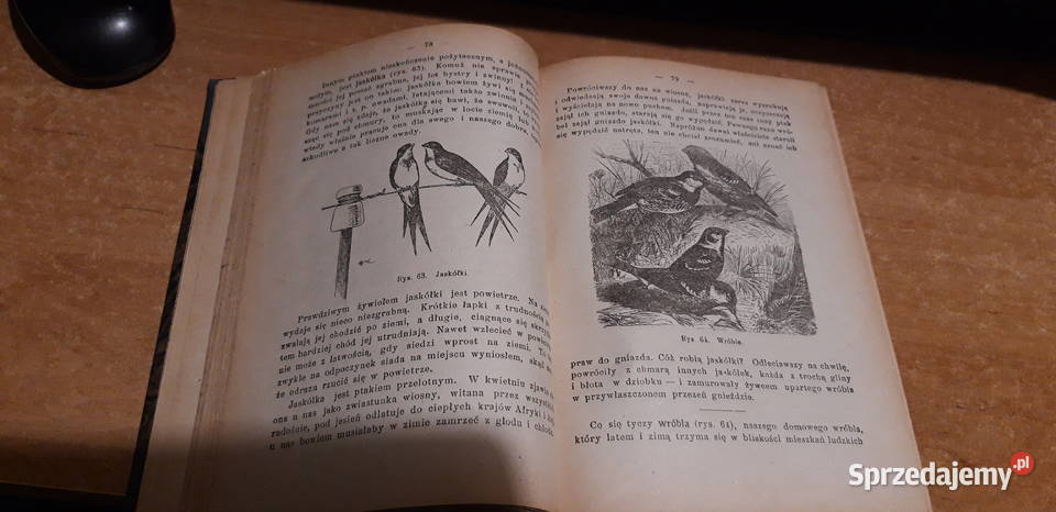 Pogadz dziedz przyri przemysłu 1 4 1921opr il Iwno