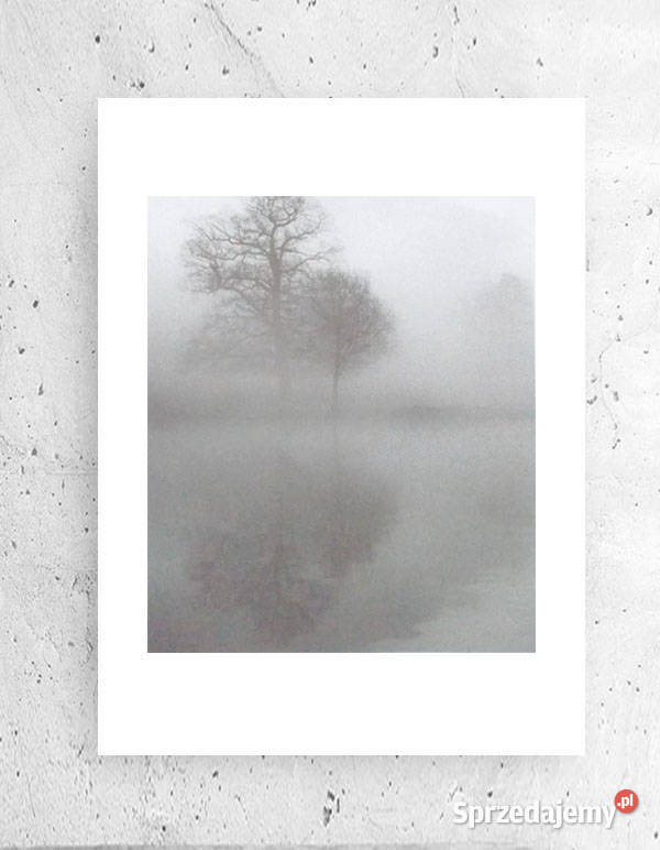 biało czarny pejzaż z drzewem szary plakat A4 Olsztyn