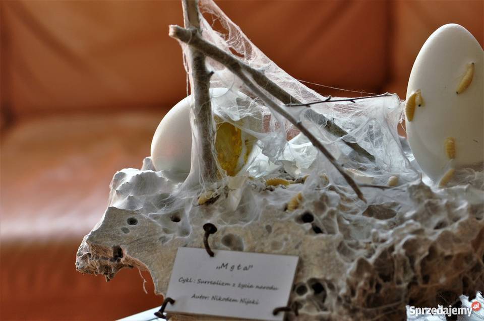 MGŁA Instalacja artystyczna Współczesna Radzewice