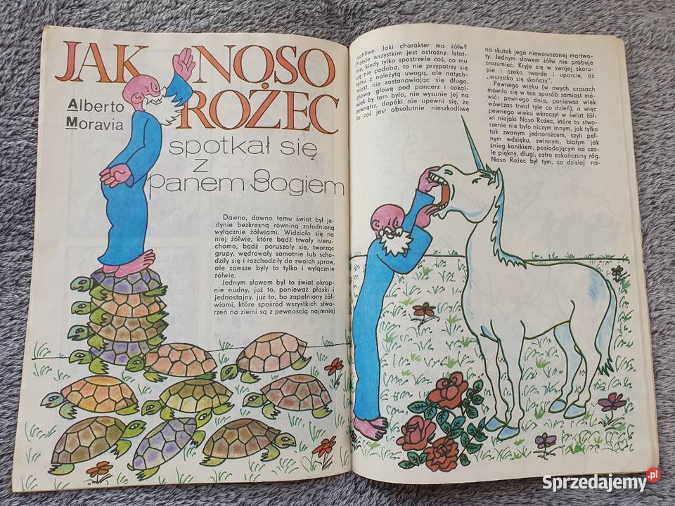 Podróże z Przygodą komiksy dla dzieci pomorskie Gdynia