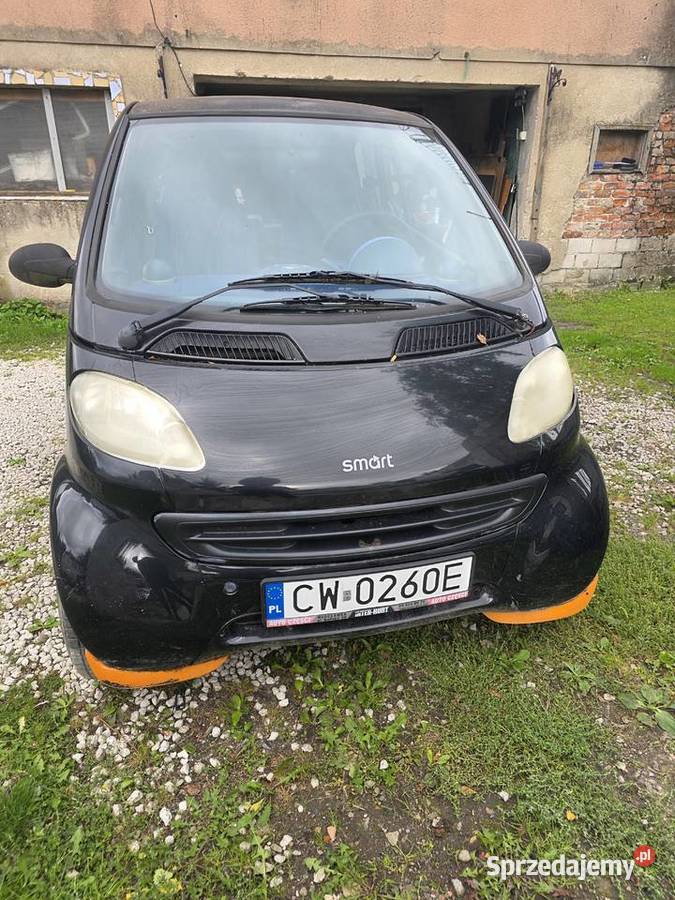 Smart tanio Chełmża