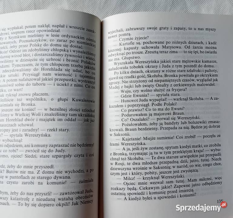 Maria Rodziewiczówna Florian z Wielkiej Hłuszy wielkopolskie Koźminek