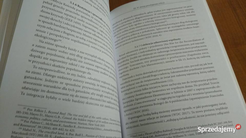 Wszystko jest połączone integralna ekologia i Gdańsk sprzedam