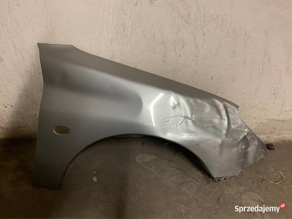 Błotnik prawy strona pasażera Peugeot 206 EZAC osobowe