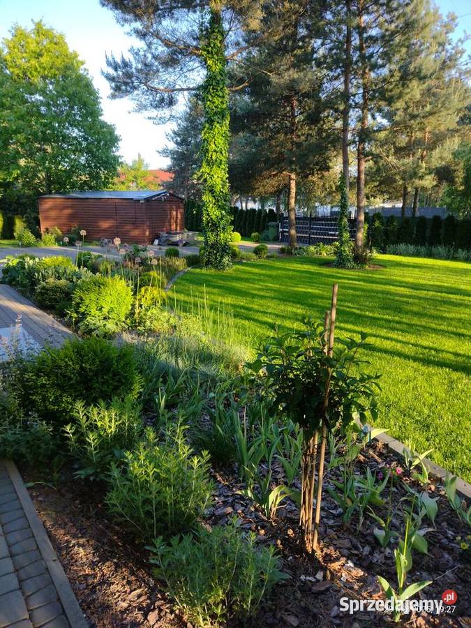 Ogród pielęgnacja budowa Komornica