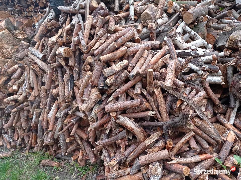 Sprzedam drzewo sosnowe i liściaste Kiełkowice