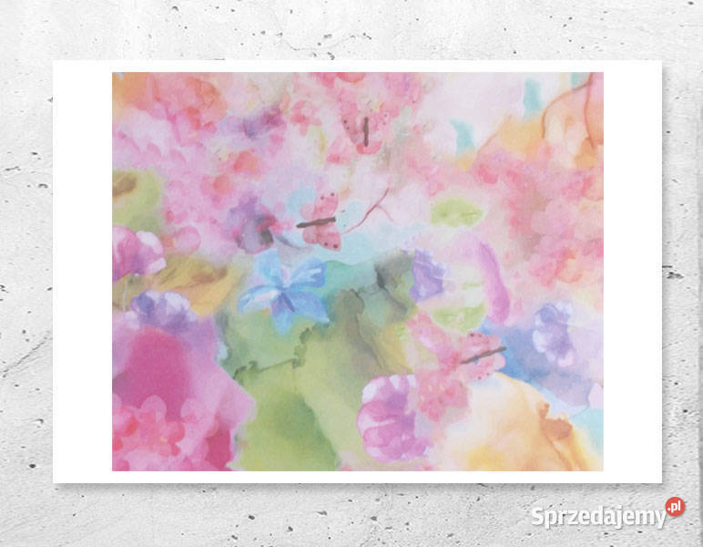 kolorowy plakat z motylkami pastelowy plakat A4 opolskie Opole