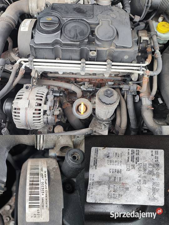 Seat Ibiza 19 TDI BMT klima tempomat hak Zielona Góra
