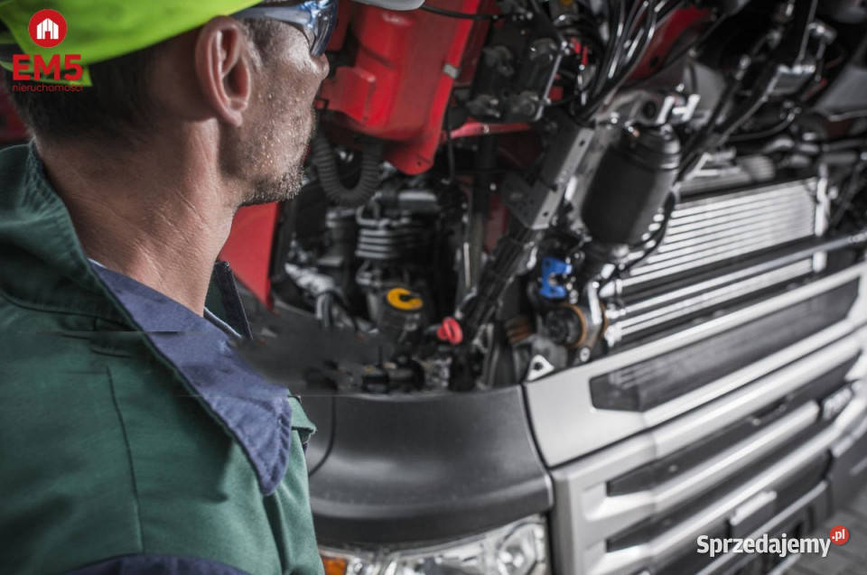 wynajmu lokalu Białystok 450m2 450m2