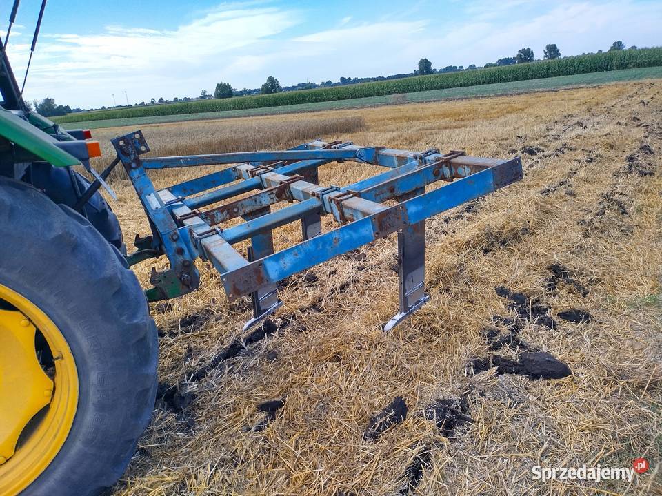 Głębosz Bonnel 3łapy