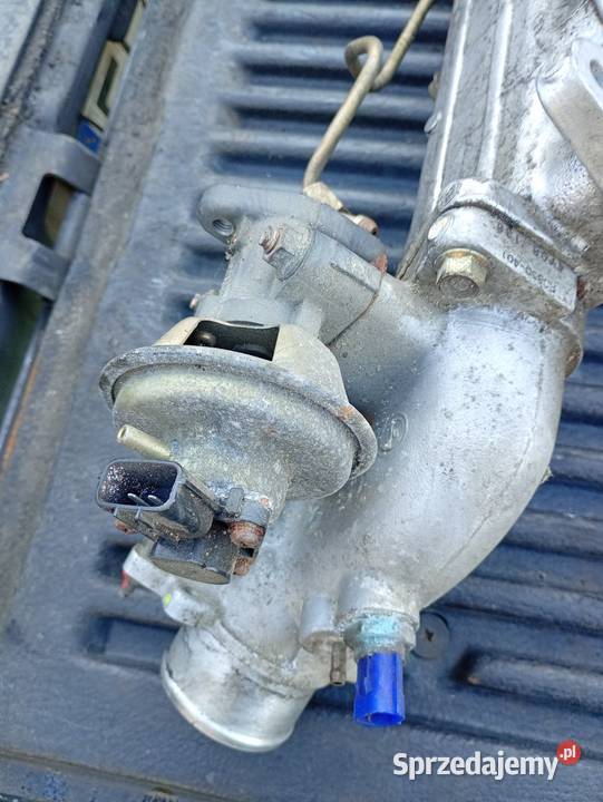 Kolektor ford ranger Łowicz