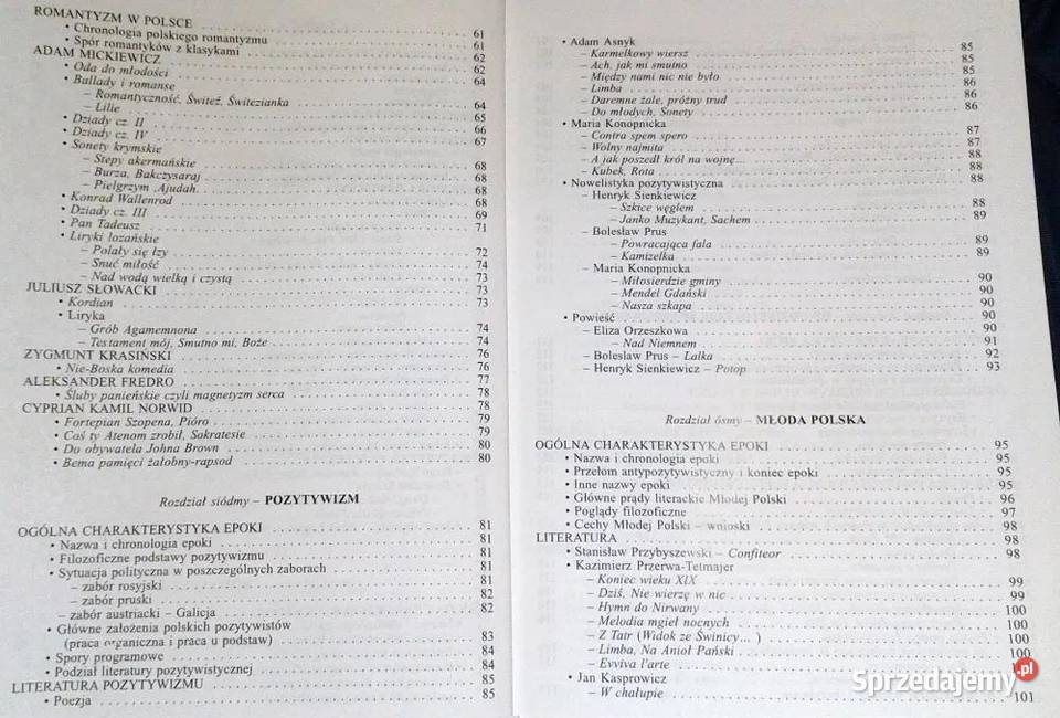 Repetytorium z języka polskiego Wszystkie epoki Chełm sprzedam