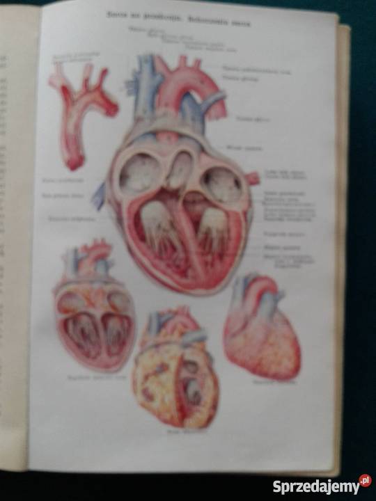 NOWE LECZNICTWO PRZYRODNICZE Leszno