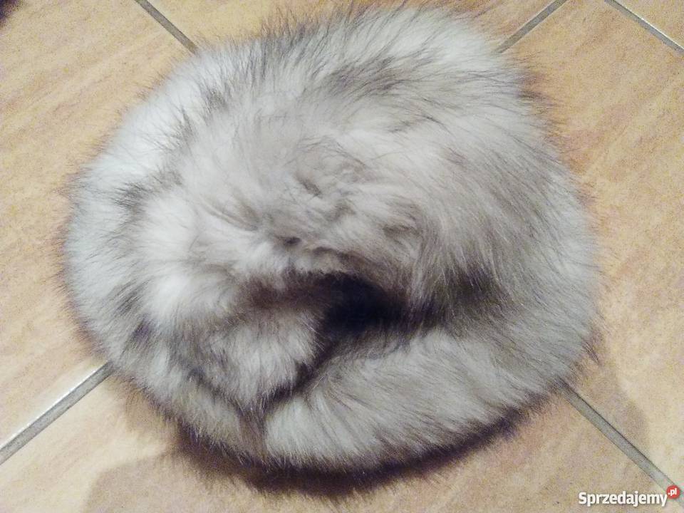 Komplet czapka szal z lisa Bydgoszcz