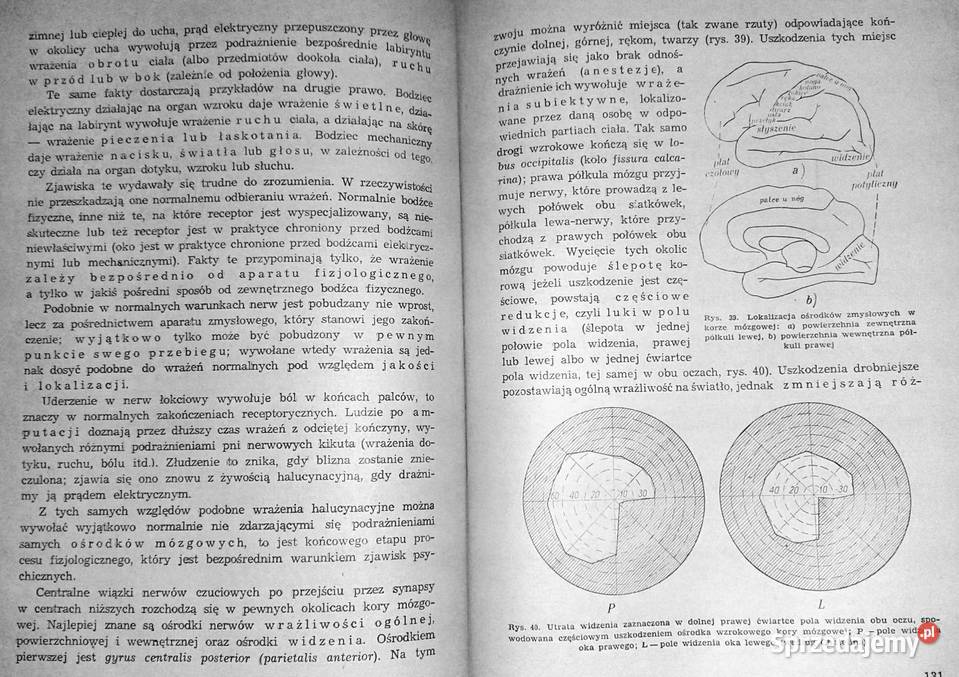 Podręcznik psychologii Paul Guillaume Chełm sprzedam