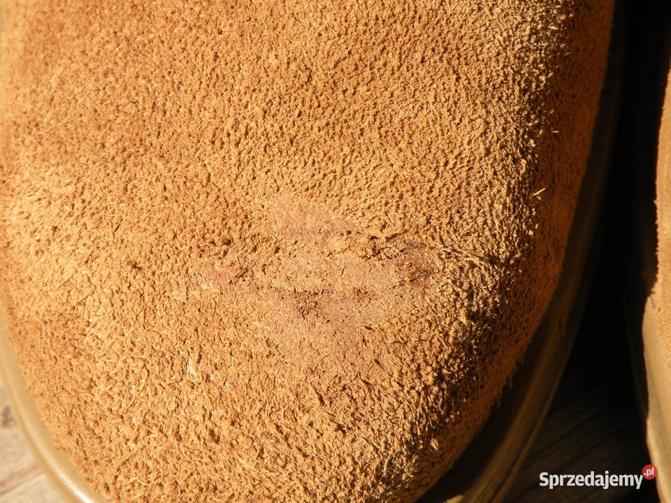 Buty Belleville 85 W coyote steel toe dolnośląskie Wrocław