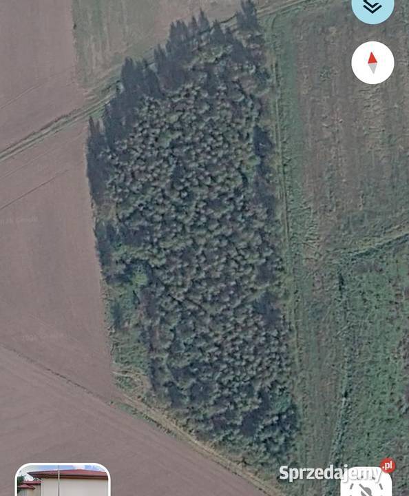 Działka rolna 115 ha Żagań