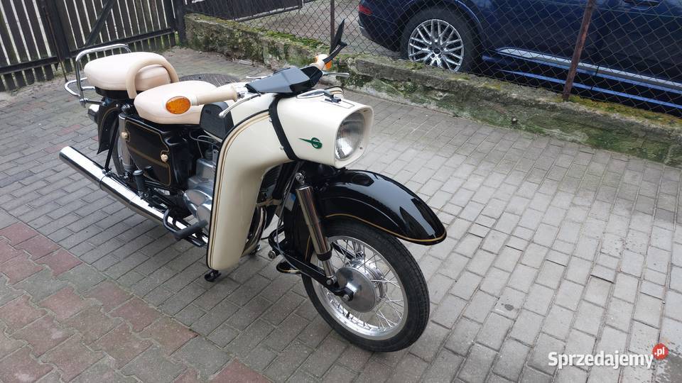 Mz trophy kujawsko-pomorskie Rypin