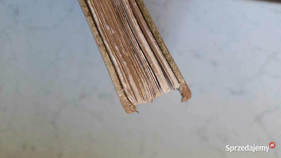 Album Henryk Siemiradzki Stanisław Lewandowski Puławy