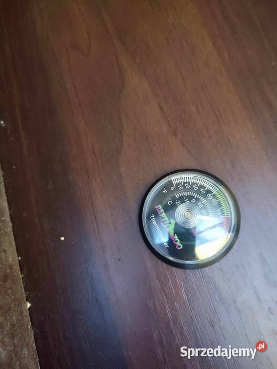 Terrarium kameleona z wyposażeniem dolnośląskie Lubin