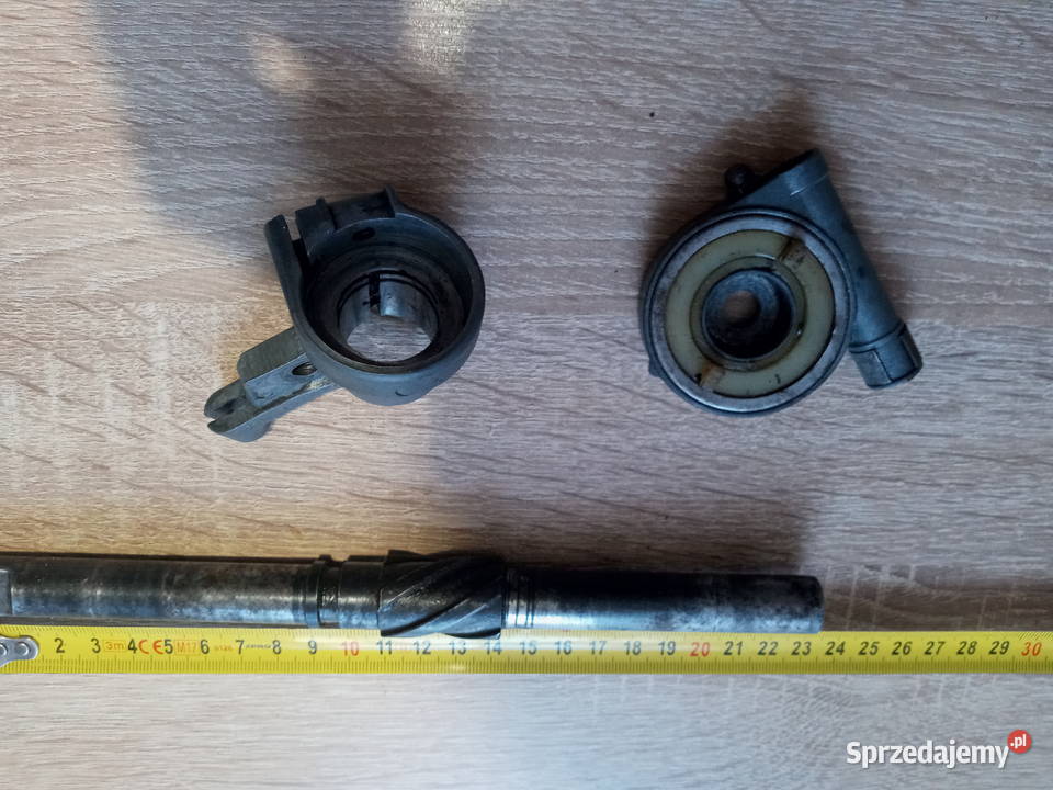 komar żak Międzychód