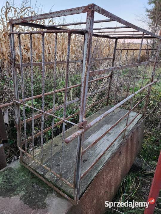 Klatka do wagi ważenia cieląt Bychawa sprzedam