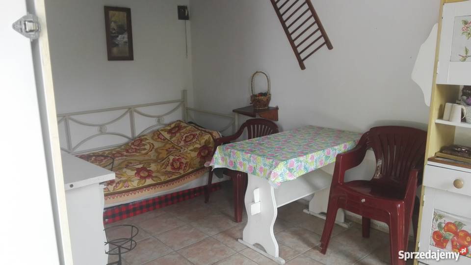 Działka ROD Poznań Złotowska Grunty i działki