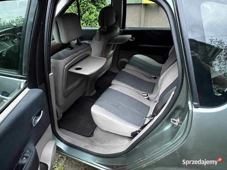 Krajowy 2 właściciel Scenic