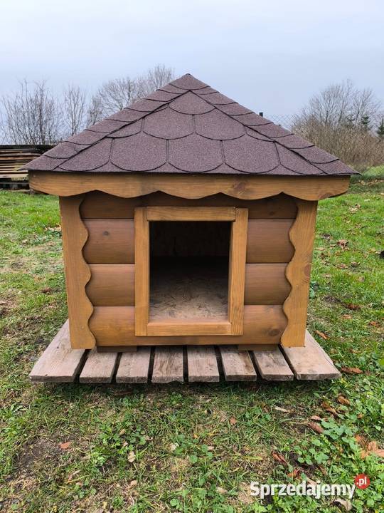 Buda domek psa Ciechanów