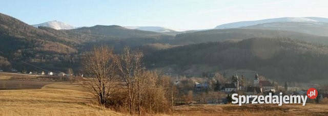 ŚWIETNA DZIAŁKA INWESTYCYJNA SOSNÓWKA Sosnówka